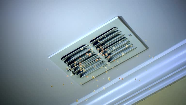 Best Professional Duct Cleaning Services  in Alamo Heights, TX