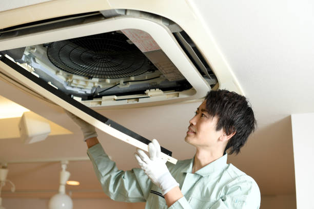 Best Air Duct Mold Removal  in Alamo Heights, TX