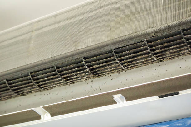 Best Home Air Vent Cleaning  in Alamo Heights, TX