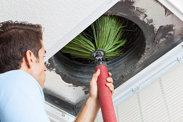 Best Air Duct Cleaning Near Me  in Alamo Heights, TX