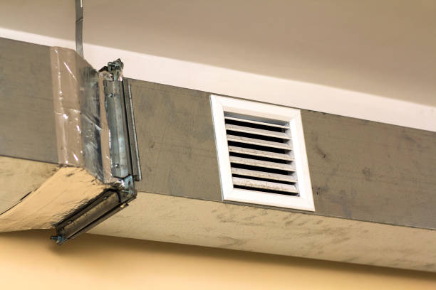 Best Local Air Duct Cleaning Services  in Alamo Heights, TX